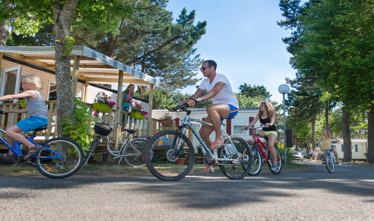 Le Bois Masson Paesi della Loira - Saint-Jean-de-Monts visuel 11/23 Le Bois Masson Paesi della Loira - Saint-Jean-de-Monts visuel 11/23