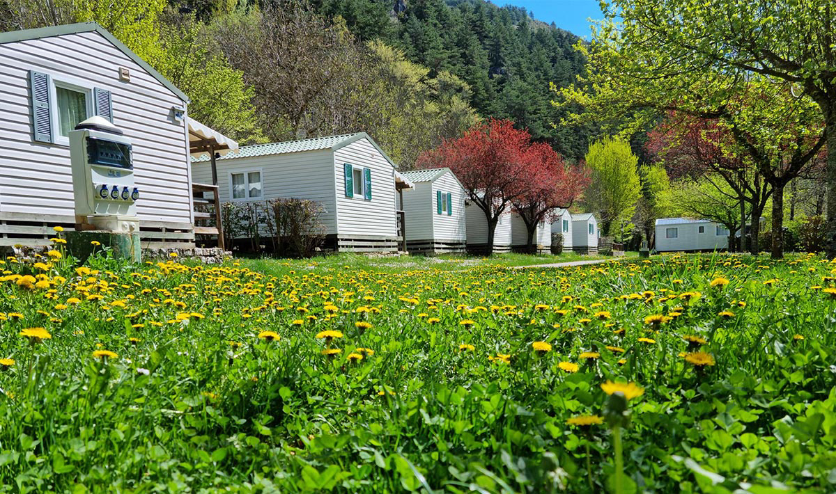 Le Capelan Linguadoca-Rossiglione - Meyrueis visuel 8/8 Le Capelan Linguadoca-Rossiglione - Meyrueis visuel 8/8