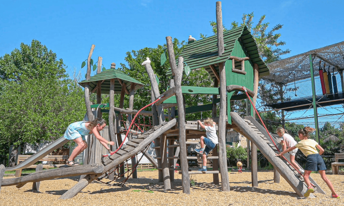 Le Castel Rose Linguadoca-Rossiglione - Anduze visuel 9/17