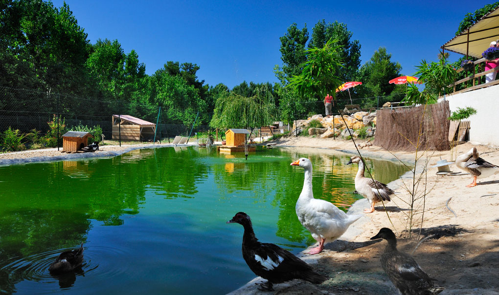 Le Domaine de la Yole Linguadoca-Rossiglione - Valras-Plage visuel 8/34