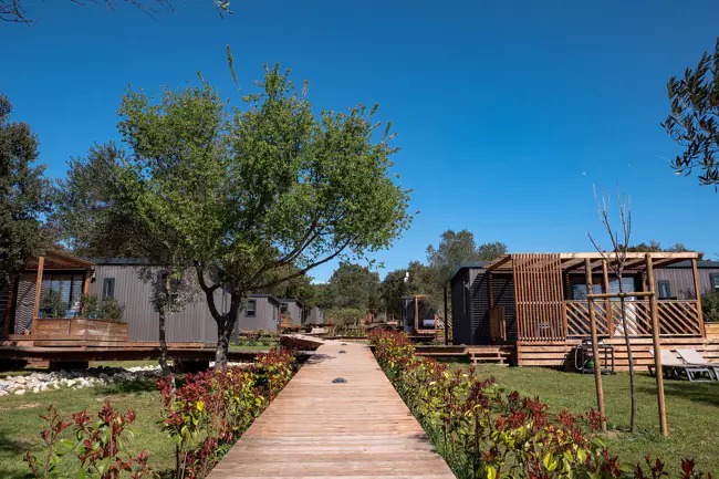 Le Domaine de Massereau Linguadoca-Rossiglione - Sommières visuel 3/10