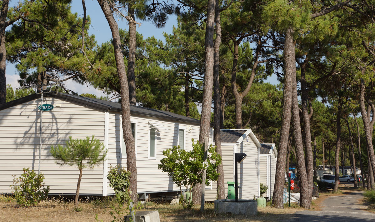 Le Grand Corseau Paesi della Loira - La Barre-de-Monts visuel 7/8 Le Grand Corseau Paesi della Loira - La Barre-de-Monts visuel 7/8
