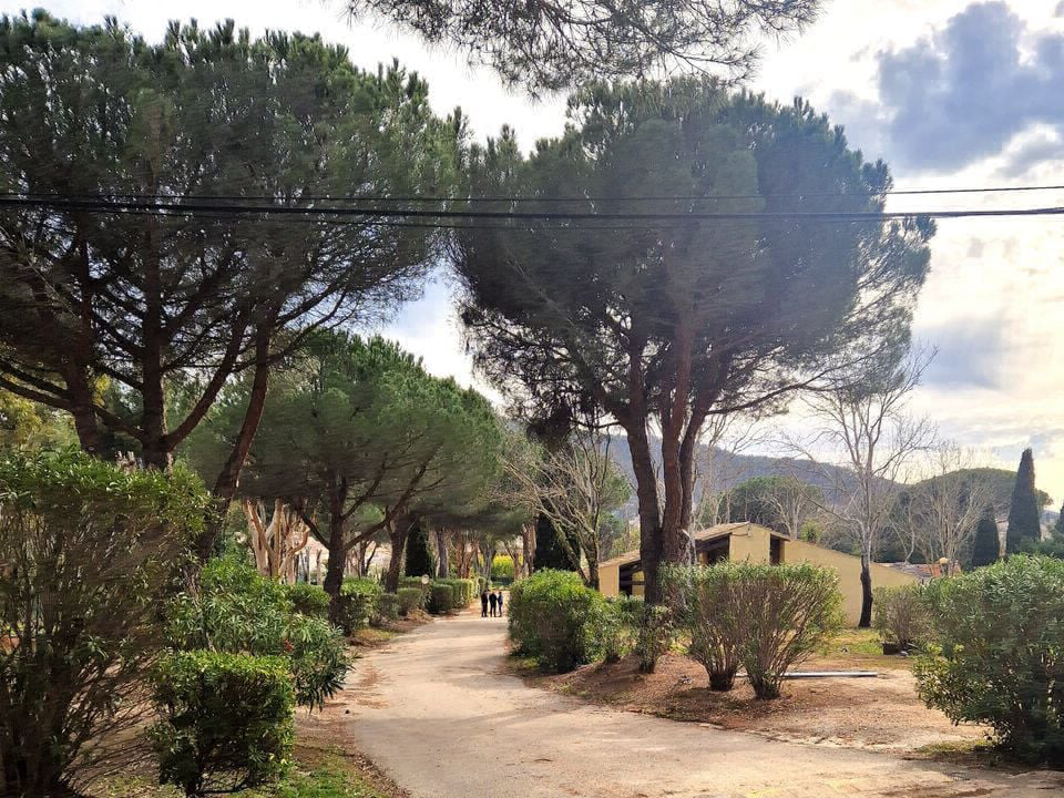 Le Hameau des Pins La moutonne - Provenza-Alpi-Costa Azzurra - La Crau visuel 6/7