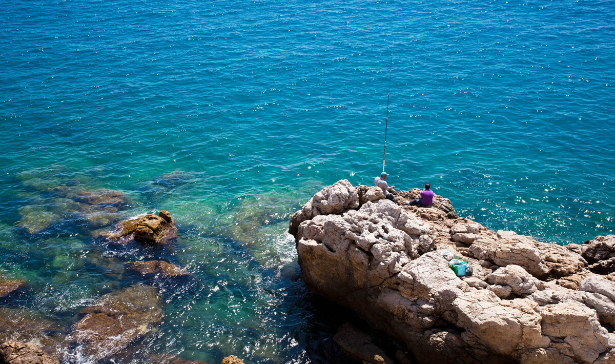 Le Montourey Provenza-Alpi-Costa Azzurra - Fréjus visuel 15/15