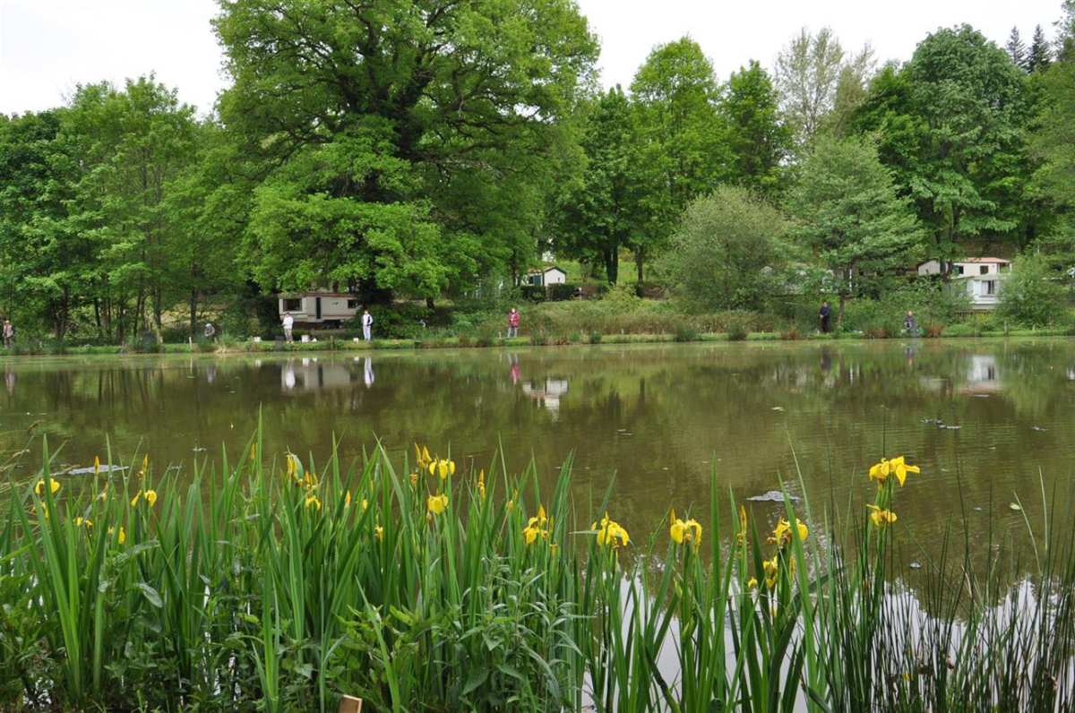 Le Moulin Du Chatain Aquitania - PAYZAC visuel 1/1 Le Moulin Du Chatain Aquitania - PAYZAC visuel 1/1