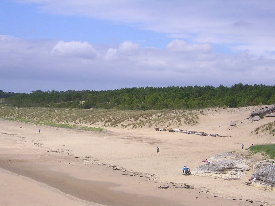 Le Nauzan Plage Poitou-Charentes - Vaux-sur-Mer visuel 9/9 Le Nauzan Plage Poitou-Charentes - Vaux-sur-Mer visuel 9/9