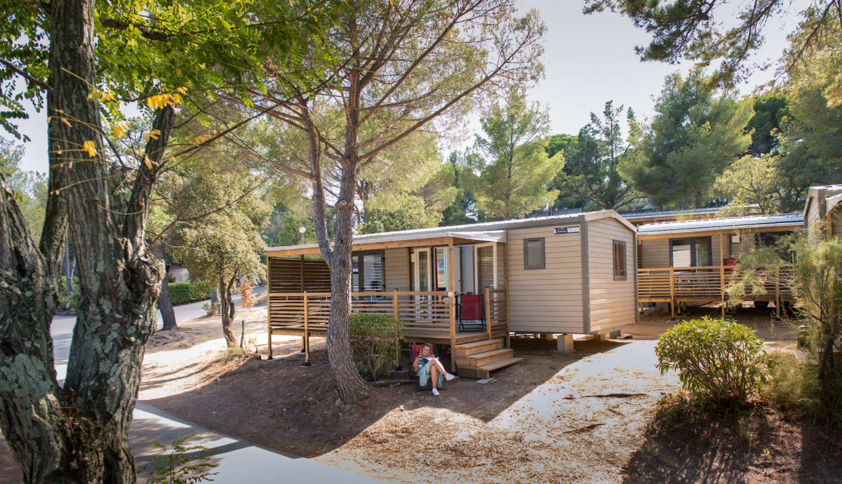 Le Parc de Bormes Provenza-Alpi-Costa Azzurra - Bormes-les-Mimosas visuel 5/8
