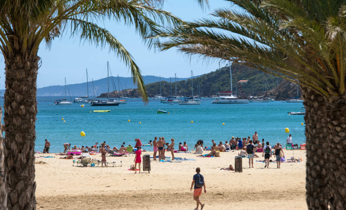 Le Parc de Bormes Provenza-Alpi-Costa Azzurra - Bormes-les-Mimosas visuel 8/8