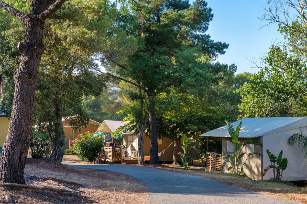Le Parc de Bormes Provenza-Alpi-Costa Azzurra - Bormes-les-Mimosas visuel 6/8