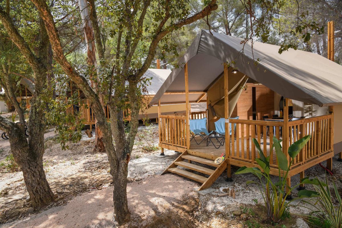 Le Parc de Bormes Provenza-Alpi-Costa Azzurra - Bormes-les-Mimosas visuel 4/8