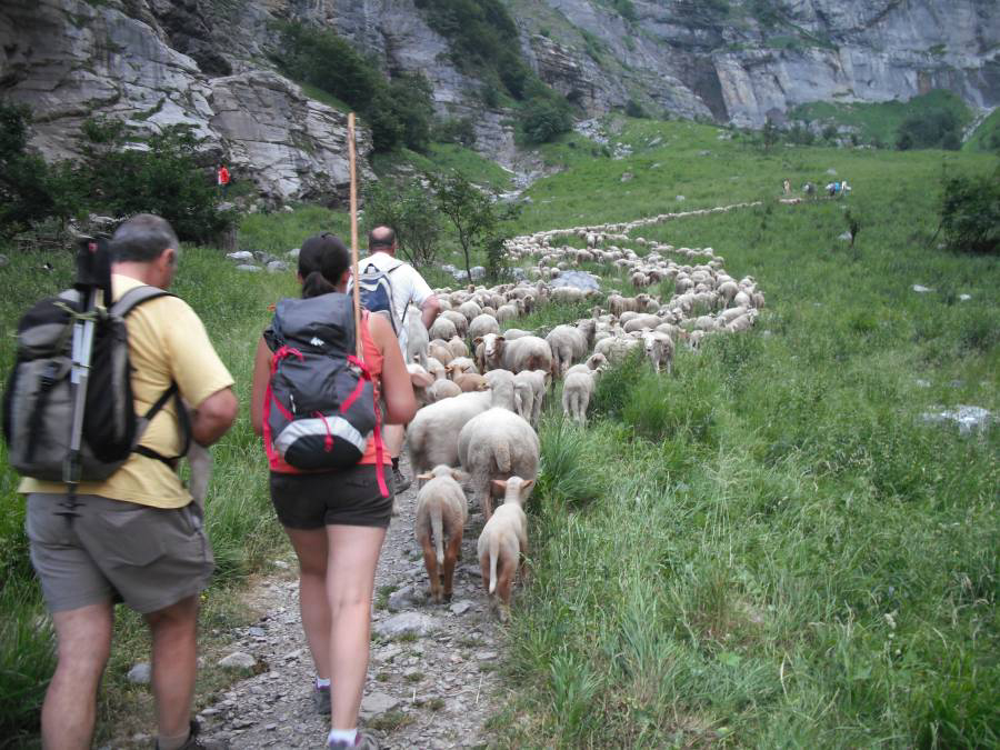 Le Pelly Rodano-Alpi - null visuel 2/3