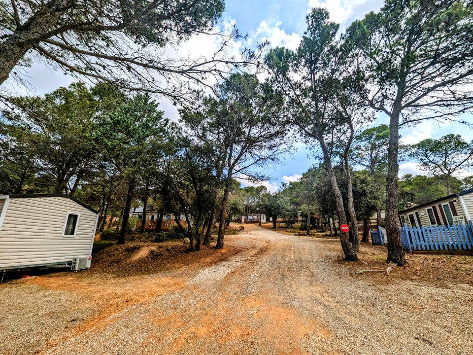 Le Pinada Linguadoca-Rossiglione - Fabrezan visuel 4/7 Le Pinada Linguadoca-Rossiglione - Fabrezan visuel 4/7