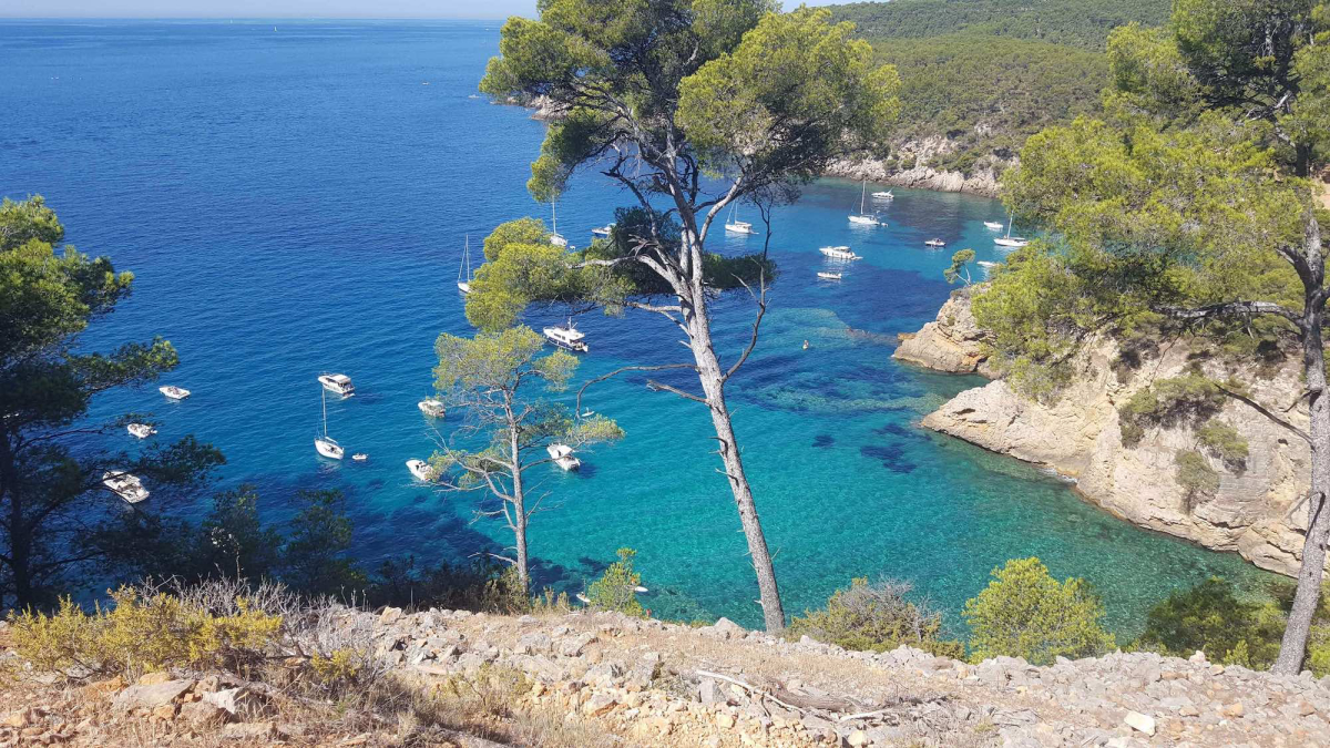 Le Rayolet Provenza-Alpi-Costa Azzurra - Six Fours les Plages visuel 12/12