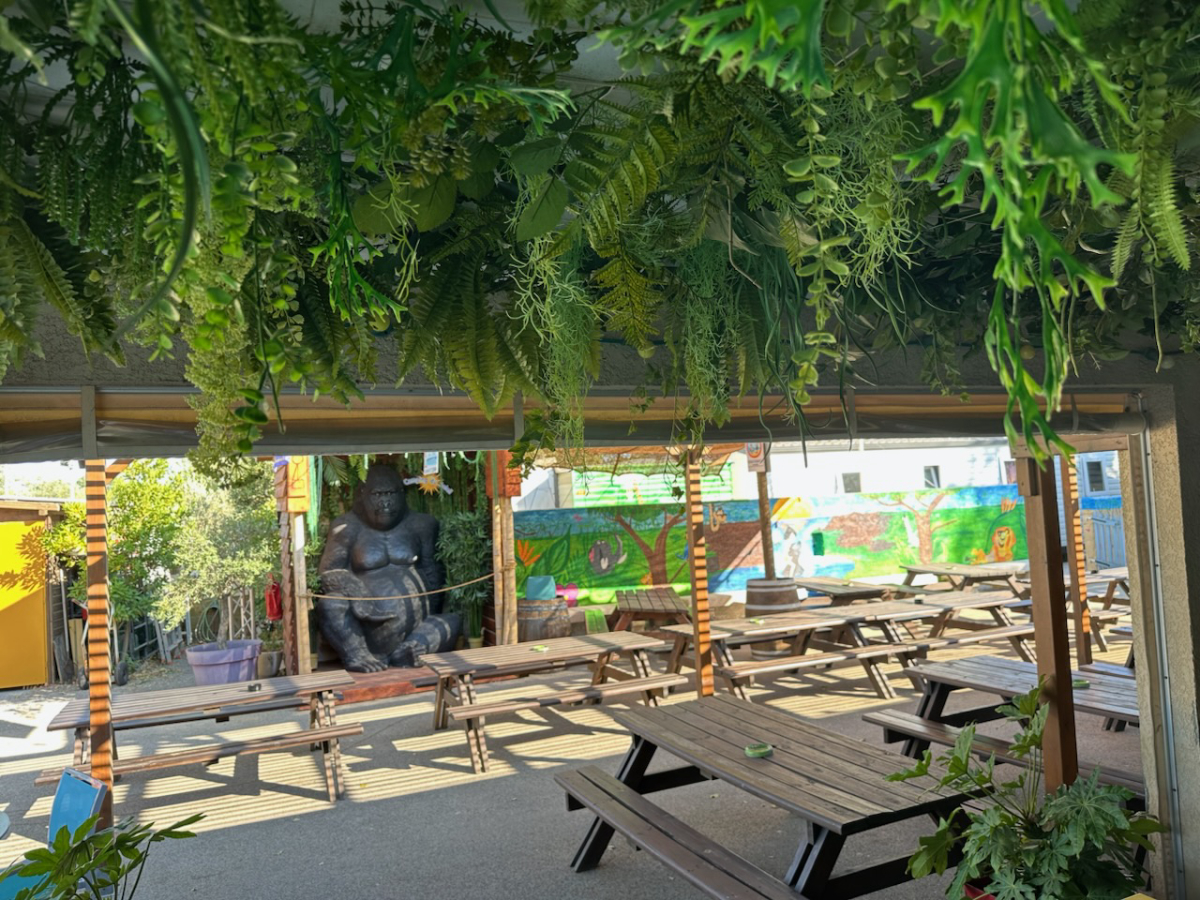 Le Soleil Linguadoca-Rossiglione - Le Grau-du-Roi visuel 1/2