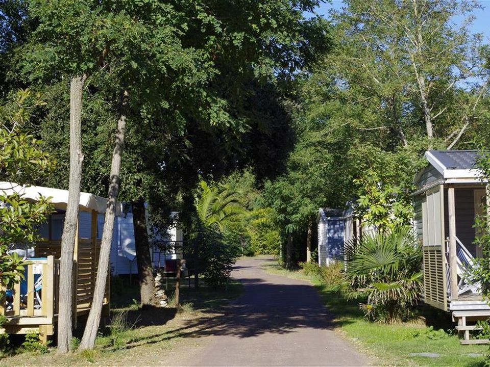 Le Sous Bois Poitou-Charentes - Saint-Pierre-d'Oléron visuel 4/11