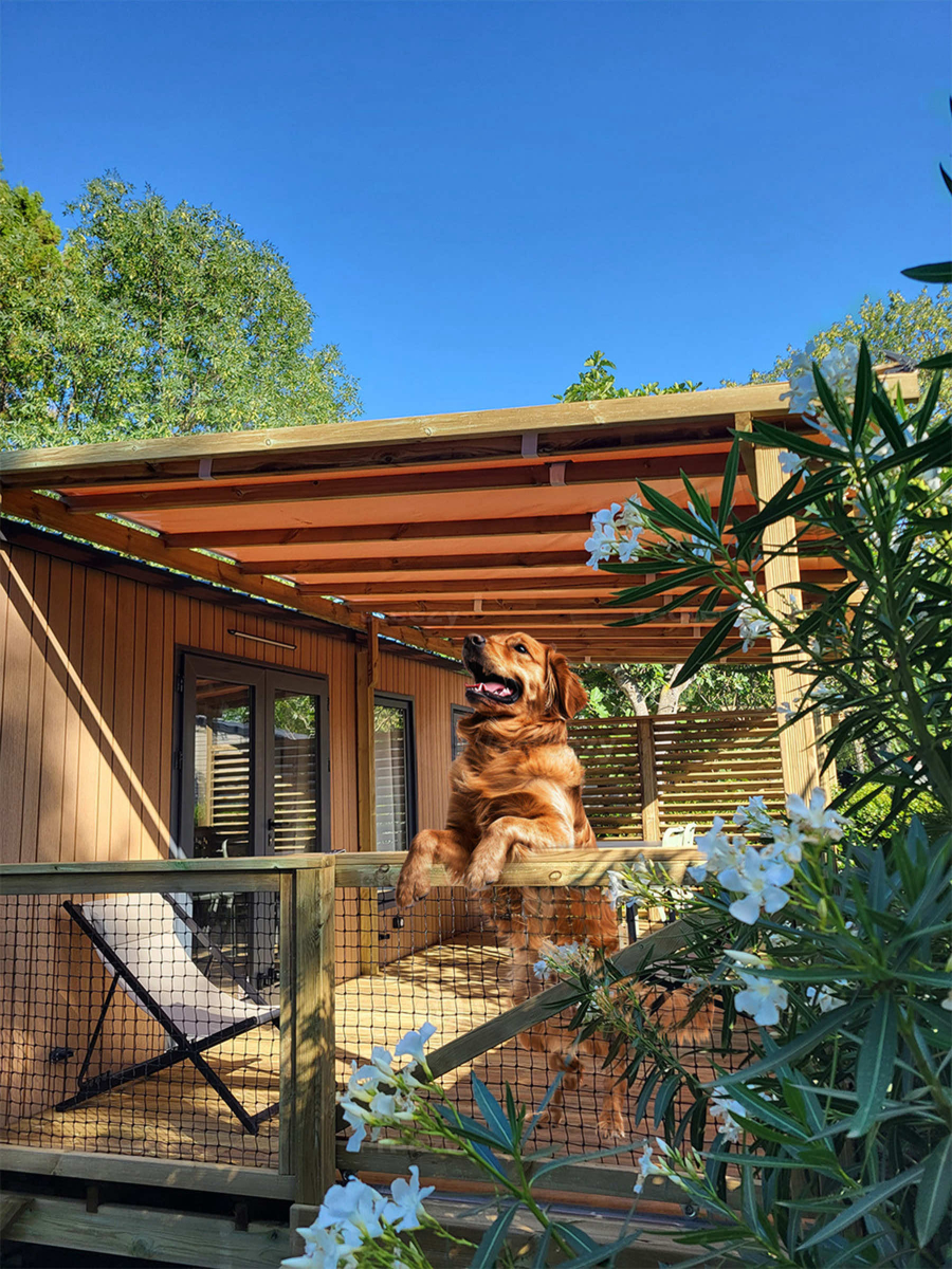 Le Val de Cesse Linguadoca-Rossiglione - Mirepeisset visuel 22/25