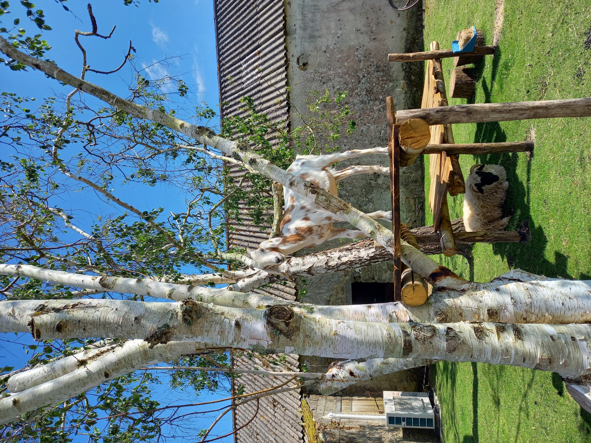 Le Vieux Verger-Ty Noul Bretagna - Névez visuel 5/6