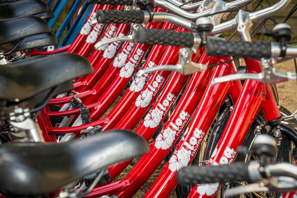 Les Ajoncs d'Or Paesi della Loira - La Baule-Escoublac visuel 40/42