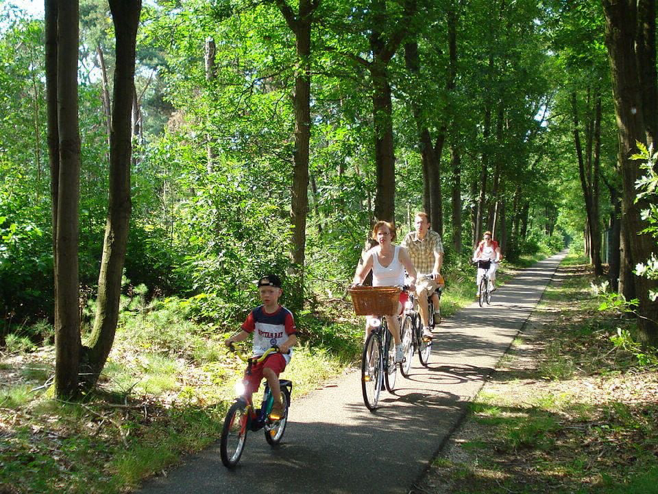 Les Amandiers Linguadoca-Rossiglione - Gallargues le Montueux visuel 11/13