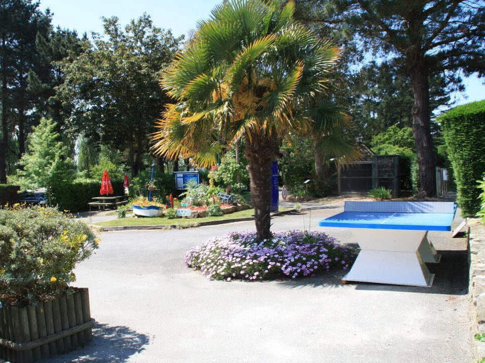 Les Capucines Bretagna - Trédrez-Locquémeau visuel 6/15 Les Capucines Bretagna - Trédrez-Locquémeau visuel 6/15