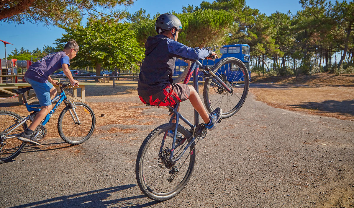 Les Chardons Bleus Paesi della Loira - La Turballe visuel 26/28