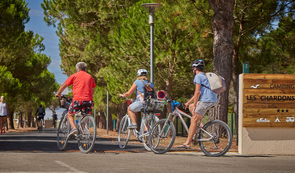 Les Chardons Bleus Paesi della Loira - La Turballe visuel 18/28