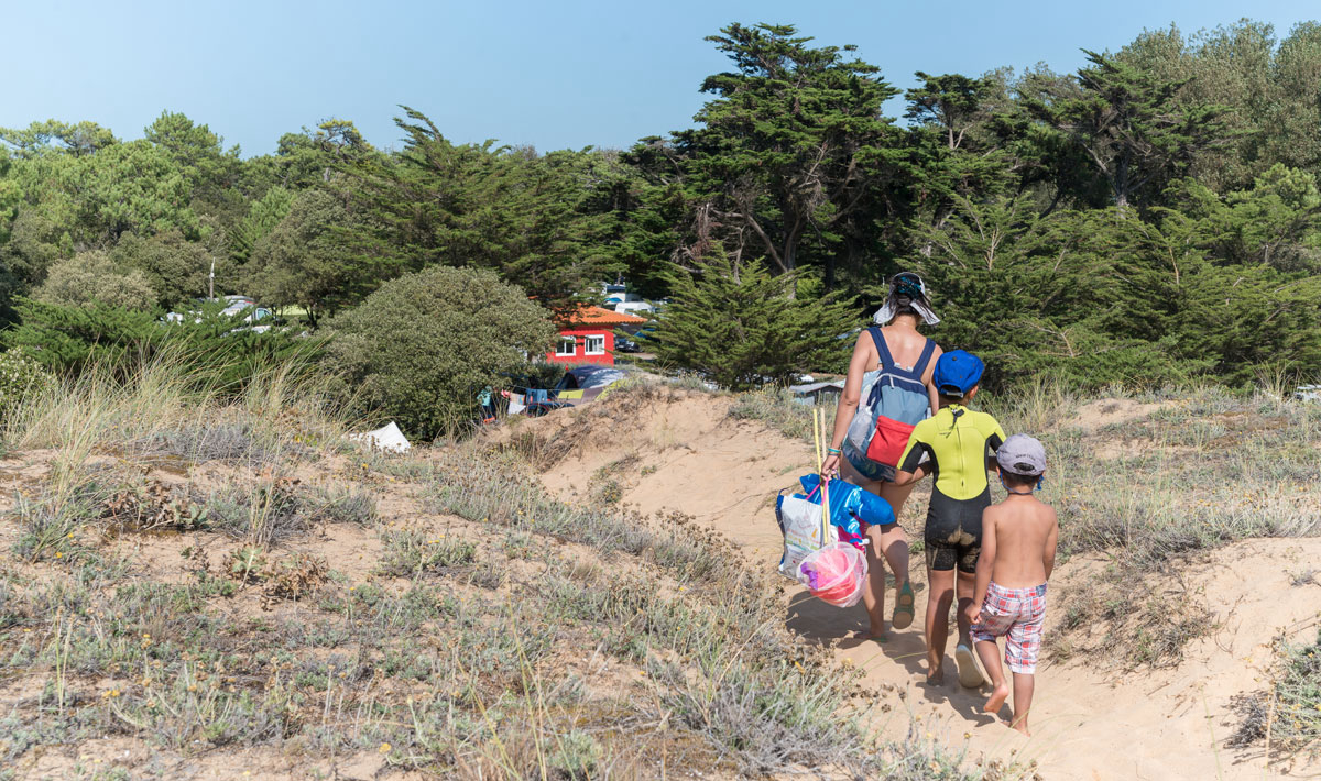 Les Cyprès Paesi della Loira - Saint-Gilles-Croix-de-Vie visuel 17/17