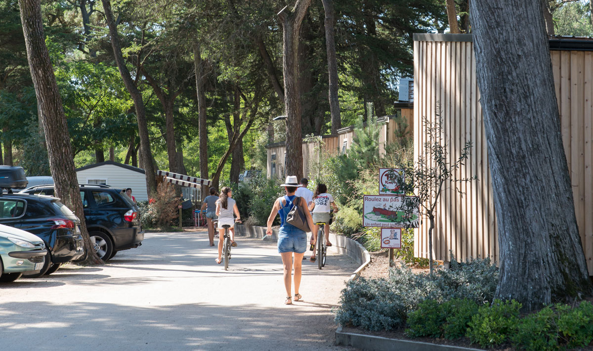 Les Cyprès Paesi della Loira - Saint-Gilles-Croix-de-Vie visuel 13/17