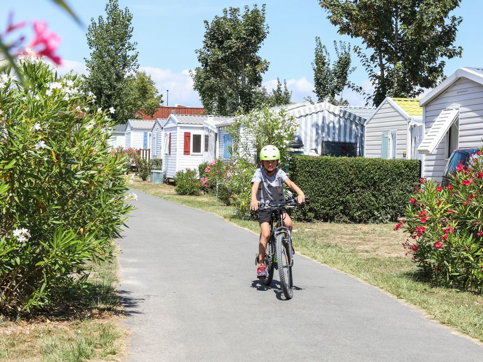 Les Dinosaures Paesi della Loira - Talmont-Saint-Hilaire visuel 16/18