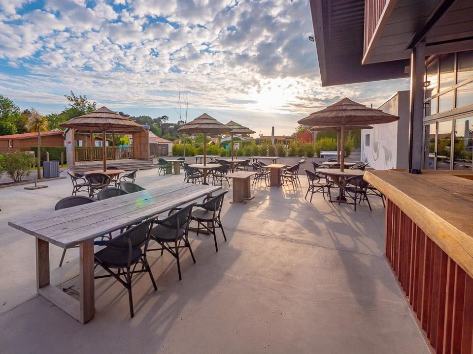 Les Dinosaures Paesi della Loira - Talmont-Saint-Hilaire visuel 8/18