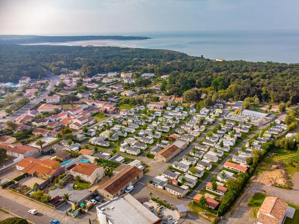 Les Dinosaures Paesi della Loira - Talmont-Saint-Hilaire visuel 15/18