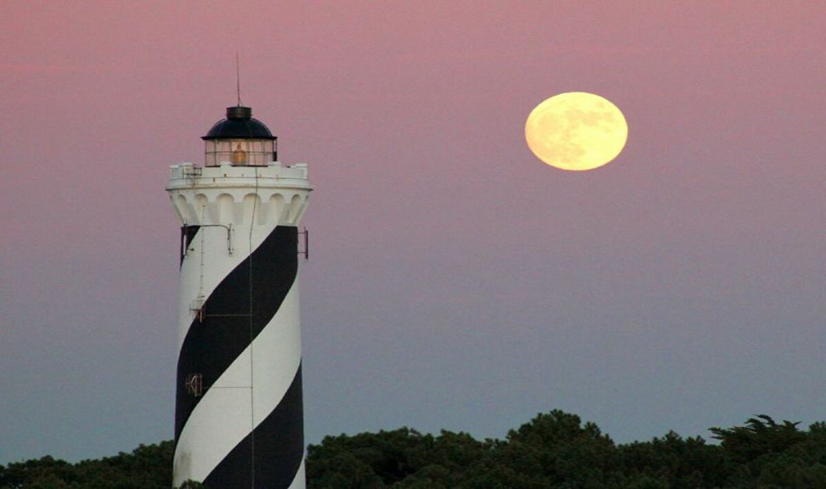 Les Dunes de Contis Aquitania - Saint-Julien-en-Born visuel 4/23 Les Dunes de Contis Aquitania - Saint-Julien-en-Born visuel 4/23