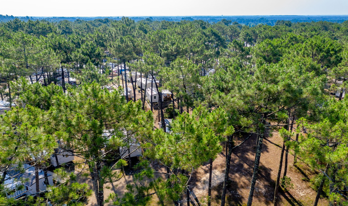 Les Dunes de Contis Aquitania - Saint-Julien-en-Born visuel 7/23 Les Dunes de Contis Aquitania - Saint-Julien-en-Born visuel 7/23