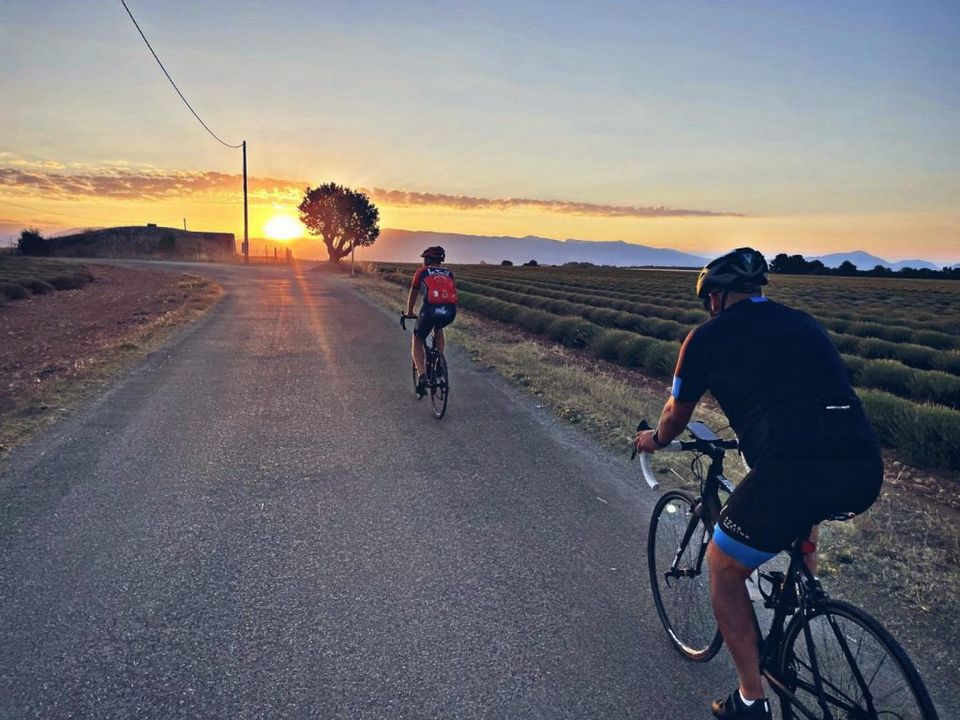 Les Lavandes Provenza-Alpi-Costa Azzurra - Valensole visuel 3/4