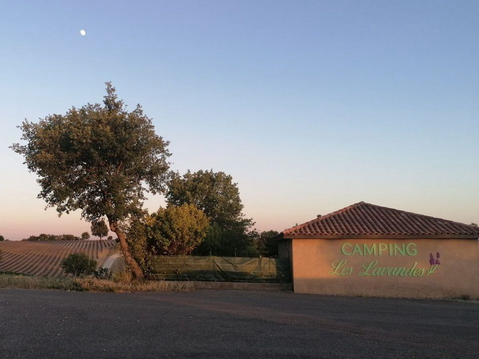 Les Lavandes Provenza-Alpi-Costa Azzurra - Valensole visuel 2/4