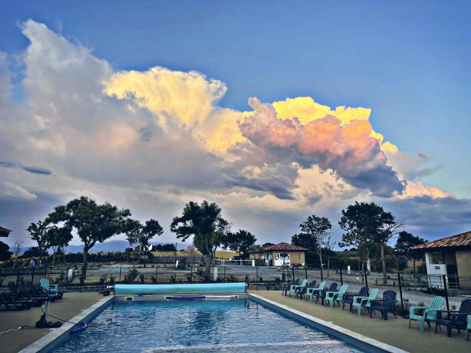 Les Lavandes Provenza-Alpi-Costa Azzurra - Valensole visuel 4/4