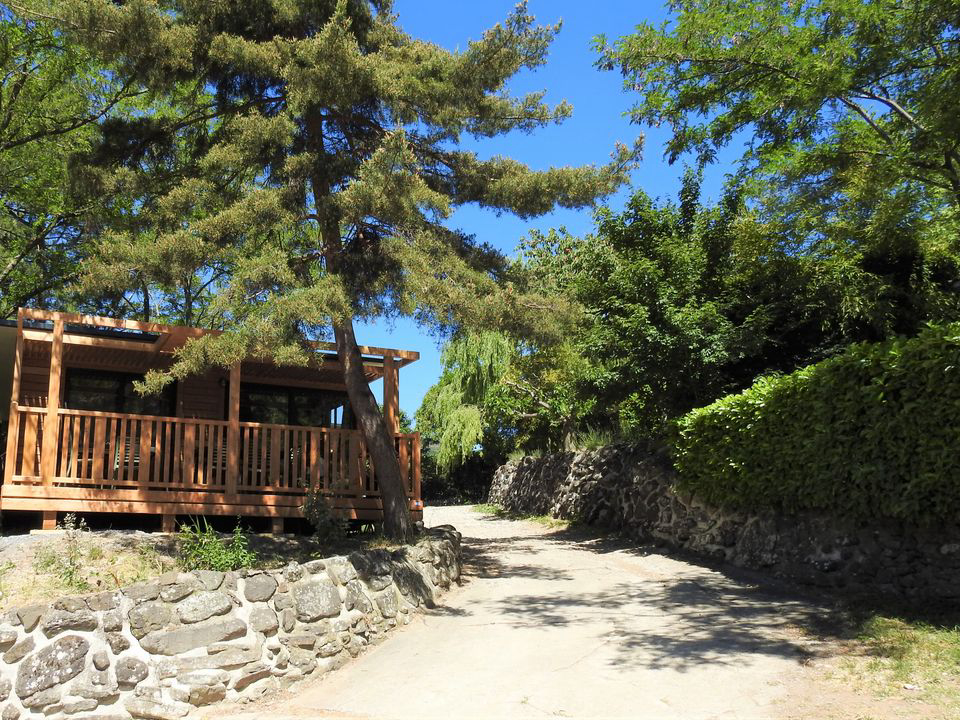 Les Lavandes Rodano-Alpi - Darbres visuel 5/14