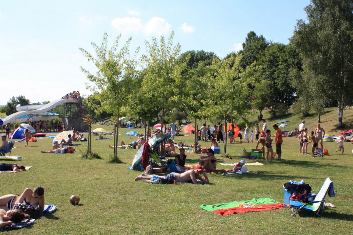 Les Marguerites Lorena - null visuel 1/1