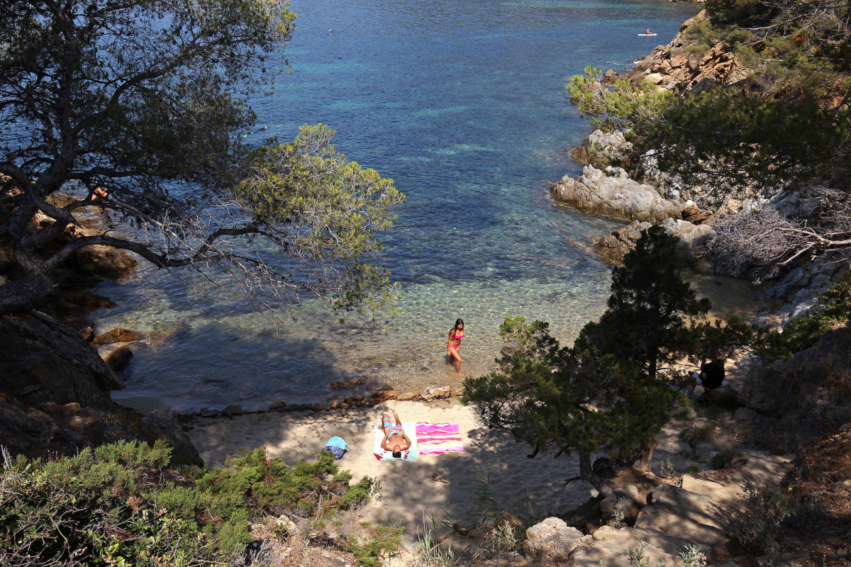 Les Mimosas Provenza-Alpi-Costa Azzurra - Le Lavandou visuel 10/14