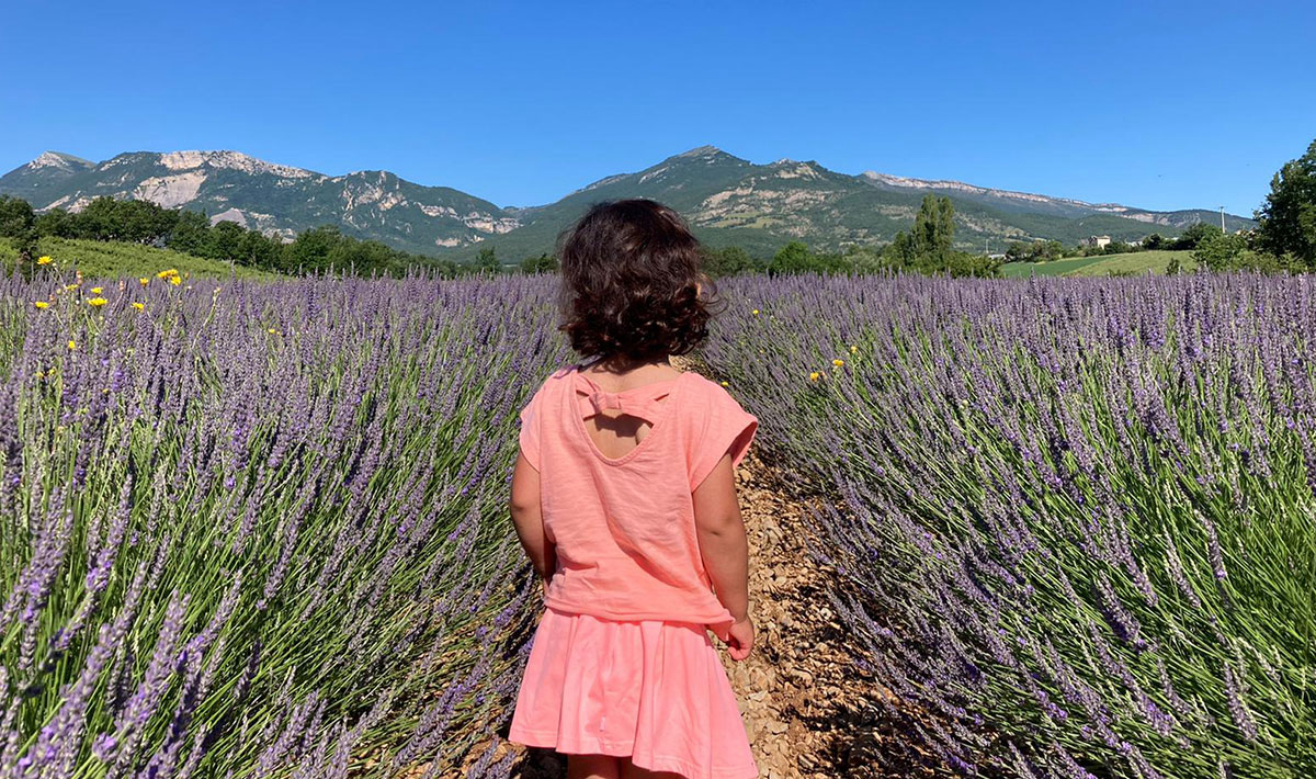Les Myotis Provenza-Alpi-Costa Azzurra - Sisteron visuel 7/17