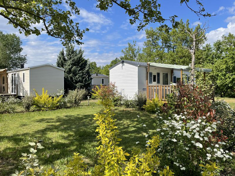 Les Myotis Provenza-Alpi-Costa Azzurra - Sisteron visuel 1/17