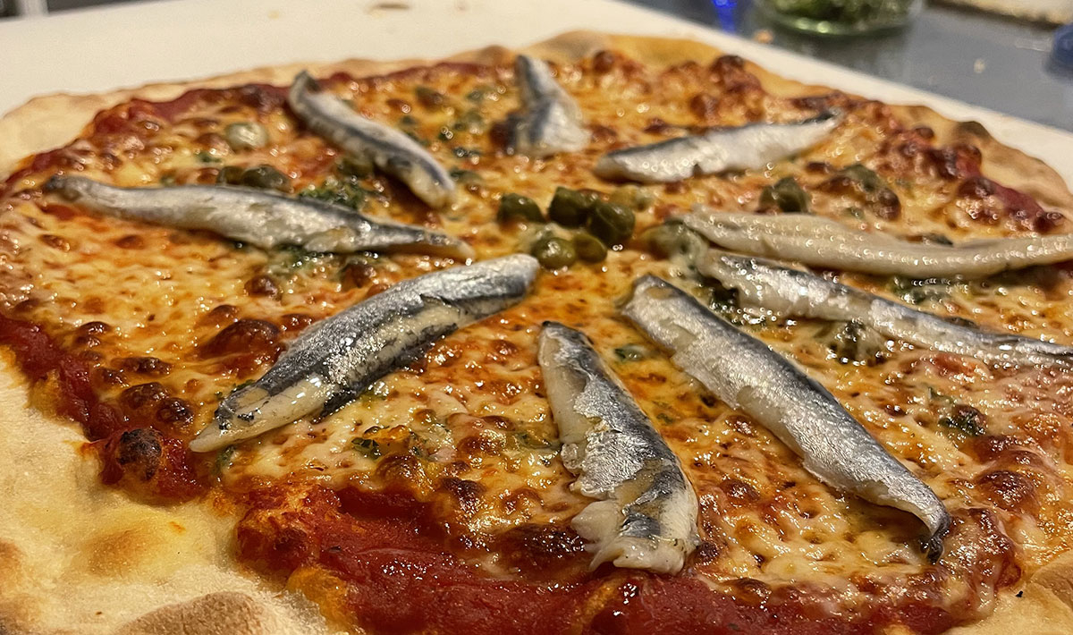 Les Myotis Provenza-Alpi-Costa Azzurra - Sisteron visuel 11/17