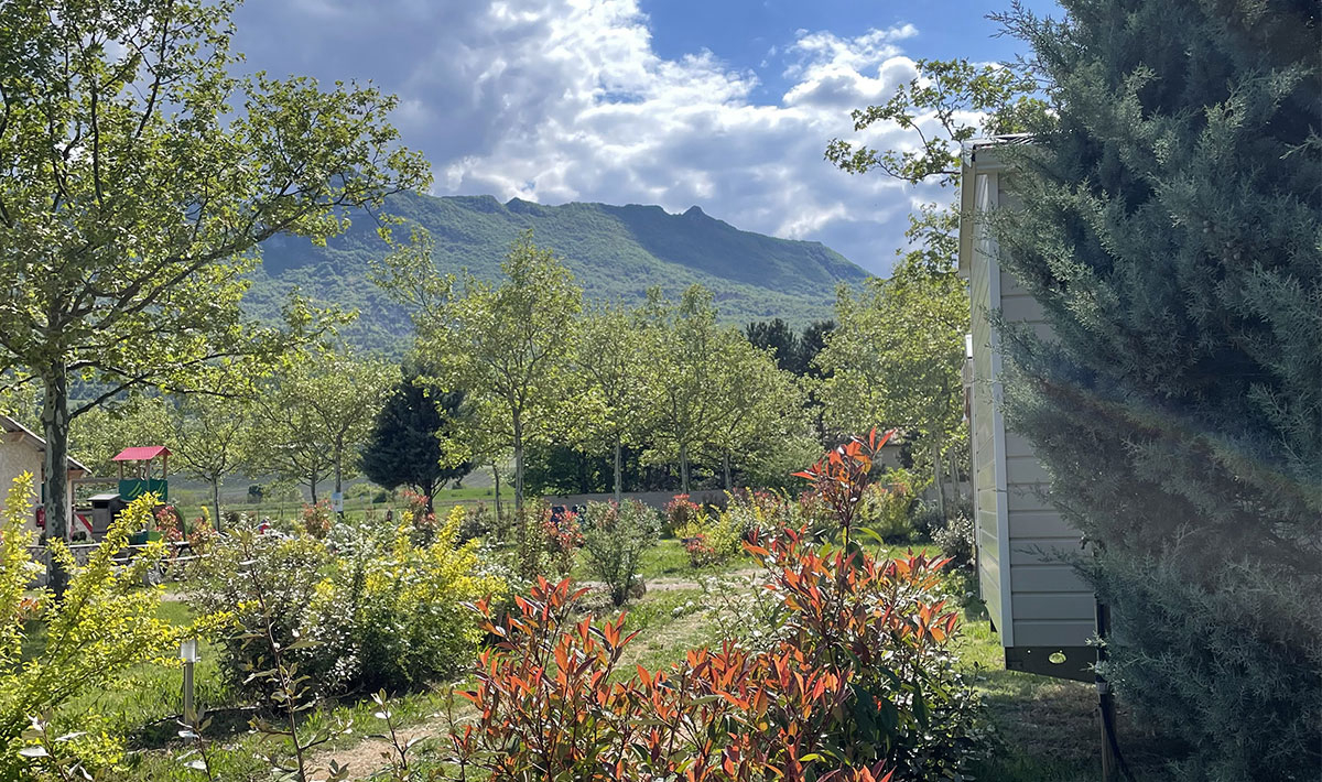 Les Myotis Provenza-Alpi-Costa Azzurra - Sisteron visuel 9/17