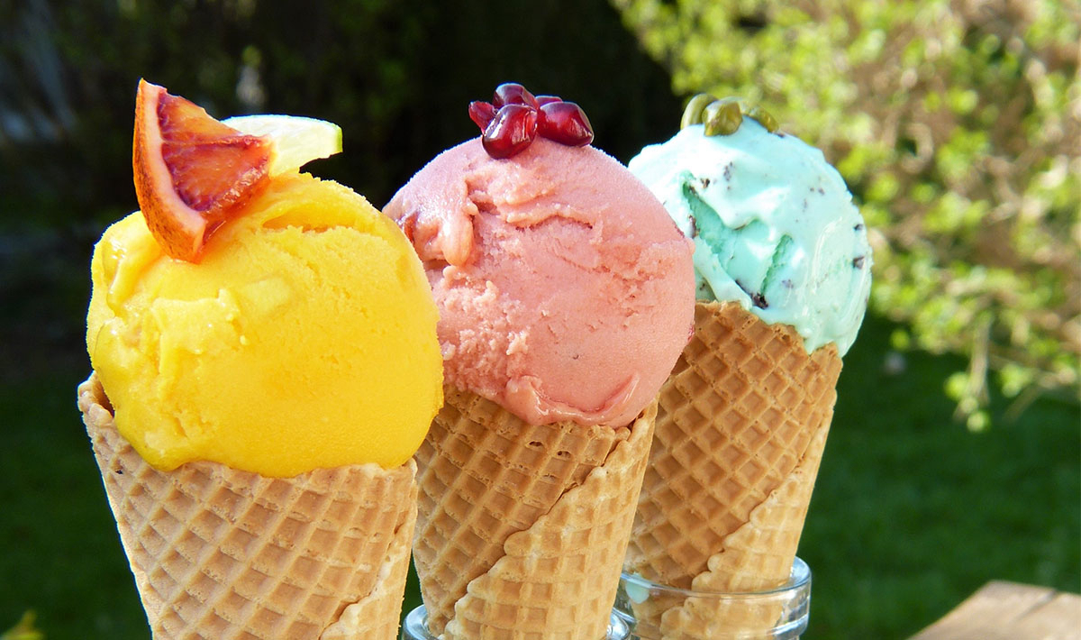 Les Myotis Provenza-Alpi-Costa Azzurra - Sisteron visuel 2/17