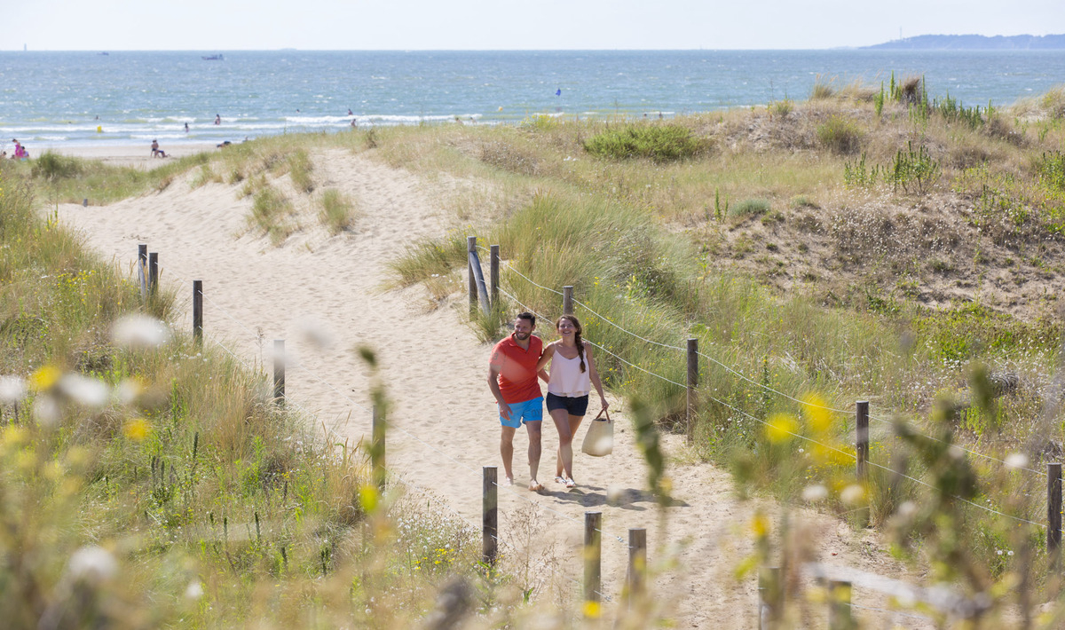Les Pierres Couchées Paesi della Loira - Saint-Brévin-les-Pins visuel 11/21 Les Pierres Couchées Paesi della Loira - Saint-Brévin-les-Pins visuel 11/21