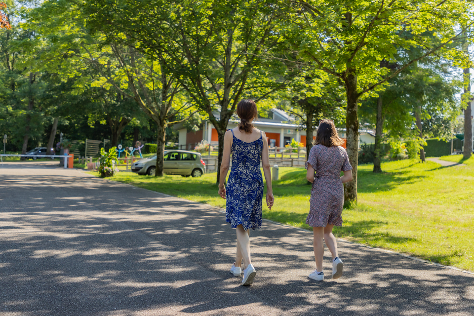 Les Pins Alsazia - null visuel 1/6 Les Pins Alsazia - null visuel 1/6