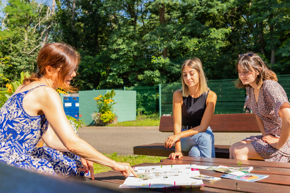 Les Pins Alsazia - null visuel 3/6 Les Pins Alsazia - null visuel 3/6