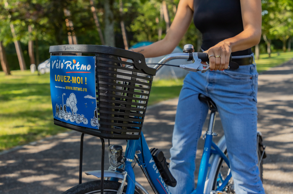 Les Pins Alsazia - null visuel 6/6 Les Pins Alsazia - null visuel 6/6