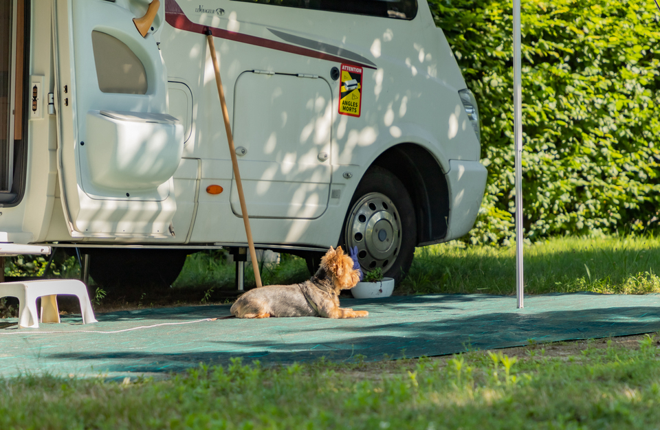 Les Pins Alsazia - null visuel 4/6 Les Pins Alsazia - null visuel 4/6