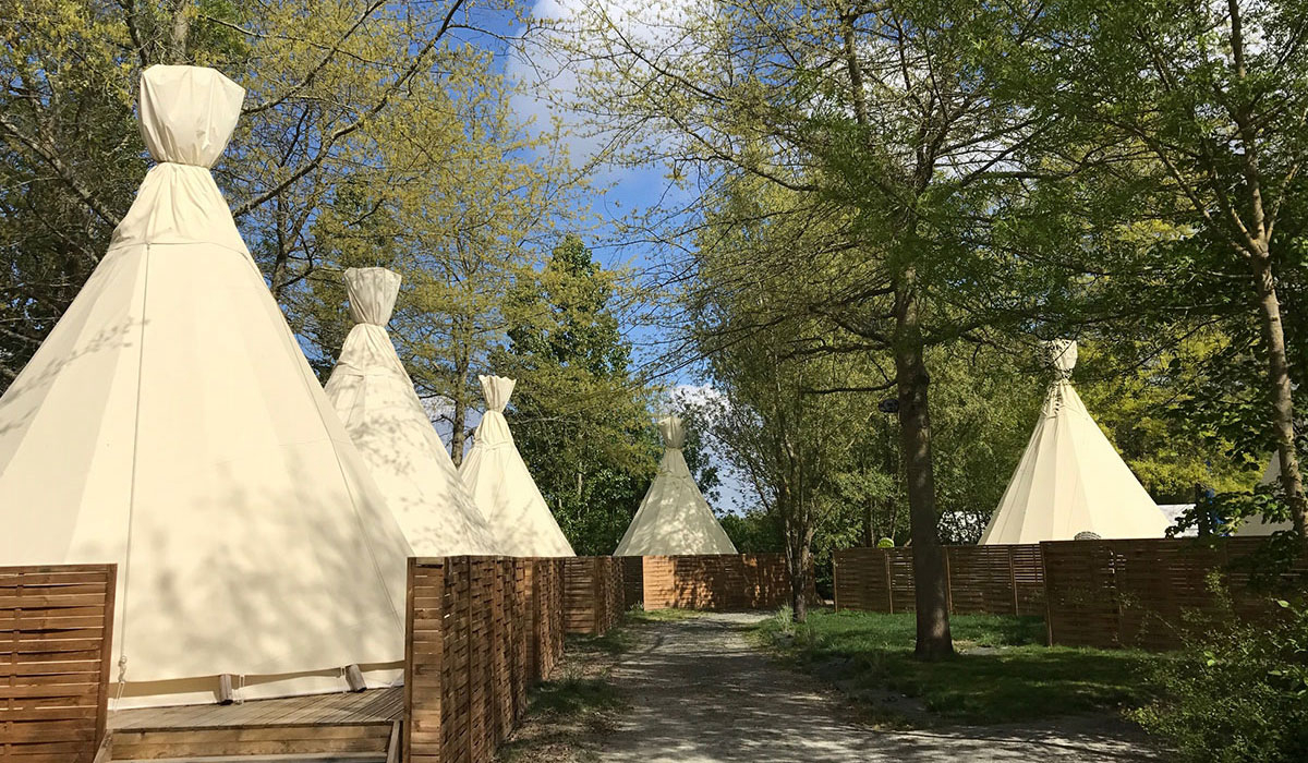 les Rives de Grand Lieu Paesi della Loira - Saint-Philbert-de-Grand-Lieu visuel 1/12 les Rives de Grand Lieu Paesi della Loira - Saint-Philbert-de-Grand-Lieu visuel 1/12